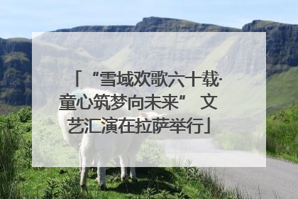“雪域欢歌六十载·童心筑梦向未来” 文艺汇演在拉萨举行