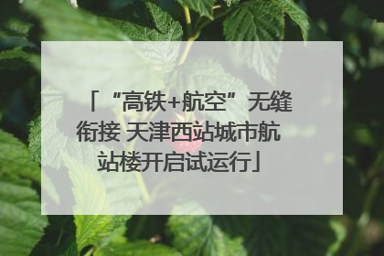 “高铁+航空”无缝衔接 天津西站城市航站楼开启试运行