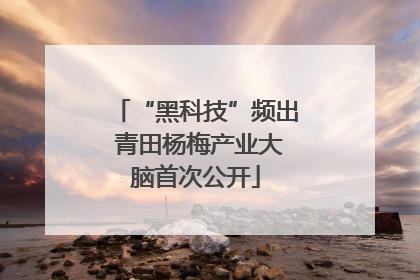 “黑科技”频出 青田杨梅产业大脑首次公开