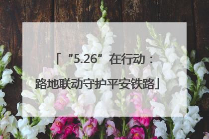 “5.26”在行动：路地联动守护平安铁路