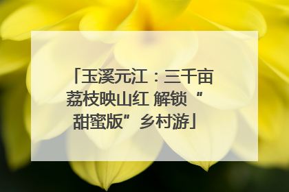 玉溪元江：三千亩荔枝映山红 解锁“甜蜜版”乡村游