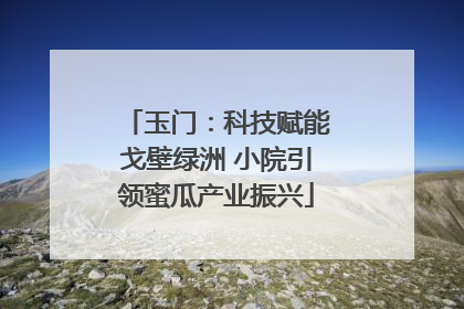玉门：科技赋能戈壁绿洲 小院引领蜜瓜产业振兴