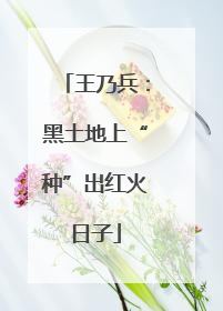 王乃兵：黑土地上“种”出红火日子