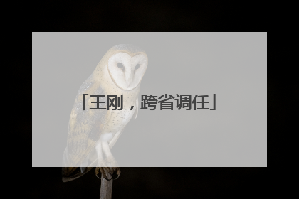 王刚，跨省调任