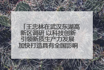 王忠林在武汉东湖高新区调研 以科技创新引领新质生产力发展 加快打造具有全国影响力的科技创新高地