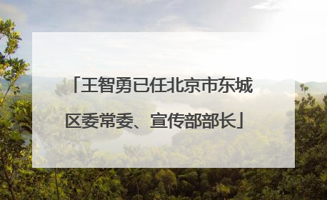 王智勇已任北京市东城区委常委、宣传部部长