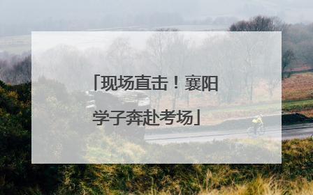 现场直击！襄阳学子奔赴考场
