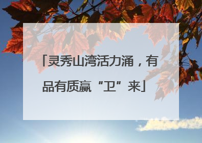 灵秀山湾活力涌，有品有质赢“卫”来