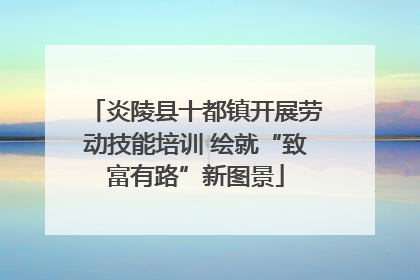 炎陵县十都镇开展劳动技能培训 绘就“致富有路”新图景
