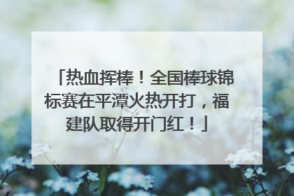 热血挥棒！全国棒球锦标赛在平潭火热开打，福建队取得开门红！