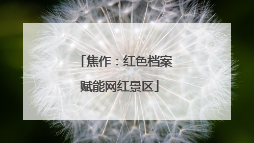 焦作：红色档案赋能网红景区