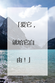 爱它，就给它自由！