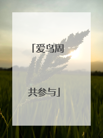 爱鸟周 共参与
