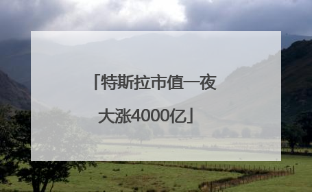 特斯拉市值一夜大涨4000亿