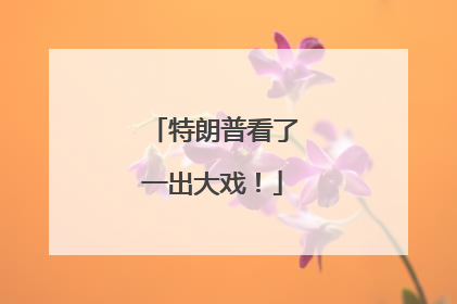 特朗普看了一出大戏！