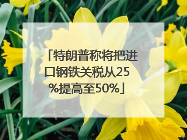 特朗普称将把进口钢铁关税从25%提高至50%