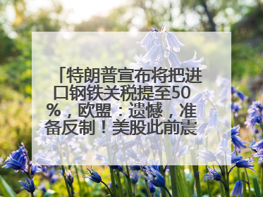 特朗普宣布将把进口钢铁关税提至50%，欧盟：遗憾，准备反制！美股此前震荡，机构：美元正进入熊市