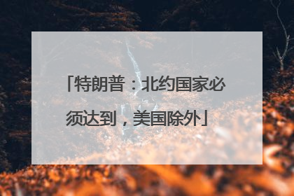 特朗普：北约国家必须达到，美国除外