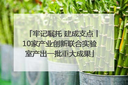 牢记嘱托 建成支点丨10家产业创新联合实验室产出一批重大成果