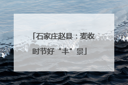 石家庄赵县：麦收时节好“丰”景