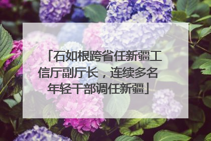 石如根跨省任新疆工信厅副厅长，连续多名年轻干部调任新疆