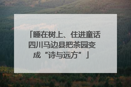 睡在树上、住进童话 四川马边县把茶园变成“诗与远方”