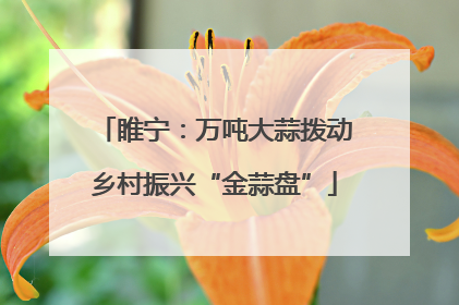 睢宁：万吨大蒜拨动乡村振兴“金蒜盘”