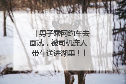 男子乘网约车去面试，被司机连人带车送进湖里！
