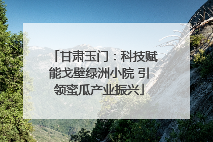 甘肃玉门：科技赋能戈壁绿洲小院 引领蜜瓜产业振兴