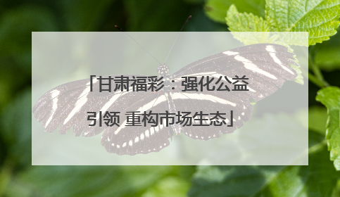 甘肃福彩：强化公益引领 重构市场生态