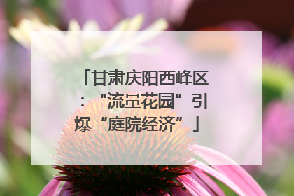甘肃庆阳西峰区：“流量花园”引爆“庭院经济”