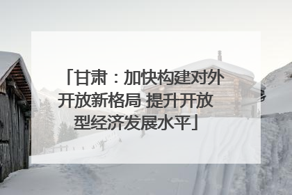 甘肃：加快构建对外开放新格局 提升开放型经济发展水平
