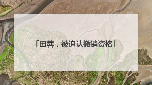 田蓉，被追认撤销资格
