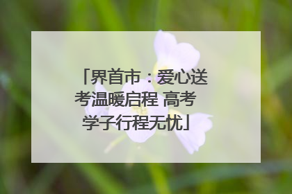 界首市：爱心送考温暖启程 高考学子行程无忧