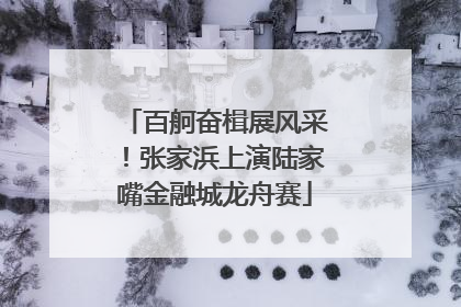 百舸奋楫展风采！张家浜上演陆家嘴金融城龙舟赛