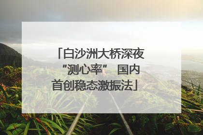 白沙洲大桥深夜“测心率” 国内首创稳态激振法