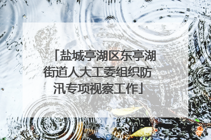 盐城亭湖区东亭湖街道人大工委组织防汛专项视察工作