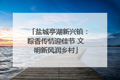 盐城亭湖新兴镇：粽香传情迎佳节 文明新风润乡村