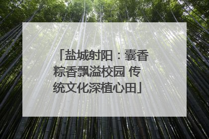 盐城射阳：囊香粽香飘溢校园 传统文化深植心田