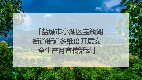 盐城市亭湖区宝瓶湖街道街道多维度开展安全生产月宣传活动