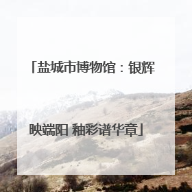 盐城市博物馆：银辉映端阳 釉彩谱华章