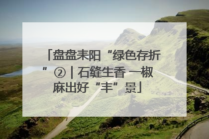 盘盘耒阳“绿色存折”②｜石缝生香 一椒麻出好“丰”景