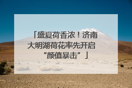 盛夏荷香浓！济南大明湖荷花率先开启“颜值暴击”