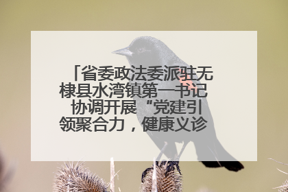 省委政法委派驻无棣县水湾镇第一书记 协调开展“党建引领聚合力，健康义诊惠乡亲”义诊活动