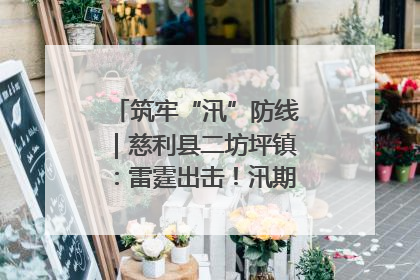 筑牢“汛”防线｜慈利县二坊坪镇：雷霆出击！汛期捕鱼被紧急叫停