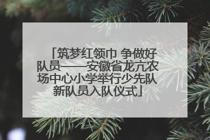 筑梦红领巾 争做好队员——安徽省龙亢农场中心小学举行少先队新队员入队仪式