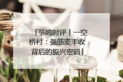 筝鸣时评丨一空桥村：强筋麦丰收背后的振兴密码