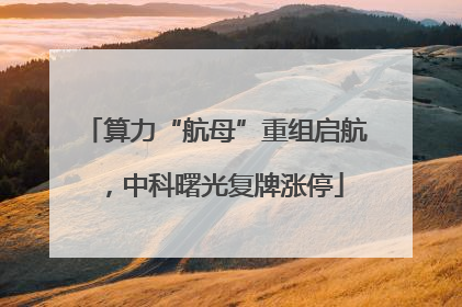 算力“航母”重组启航，中科曙光复牌涨停