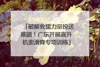 破解救援力量投送难题！广东开展直升机索滑降专项训练