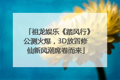 祖龙娱乐《踏风行》公测火爆，3D放置修仙新风潮席卷而来